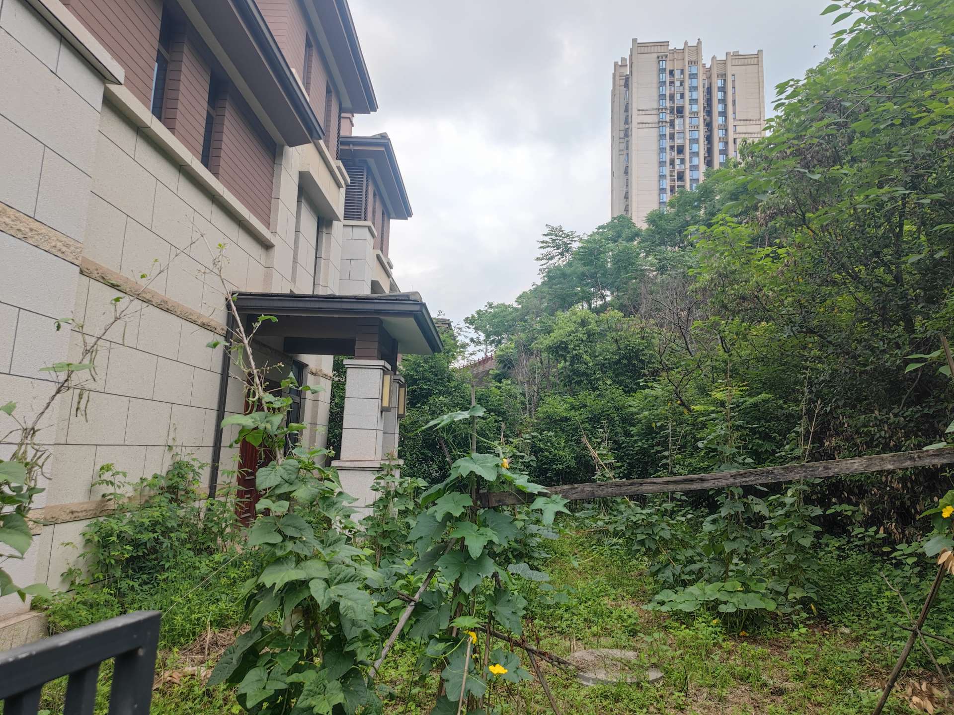 240514_恒大悦府_无标签_20260604095043
